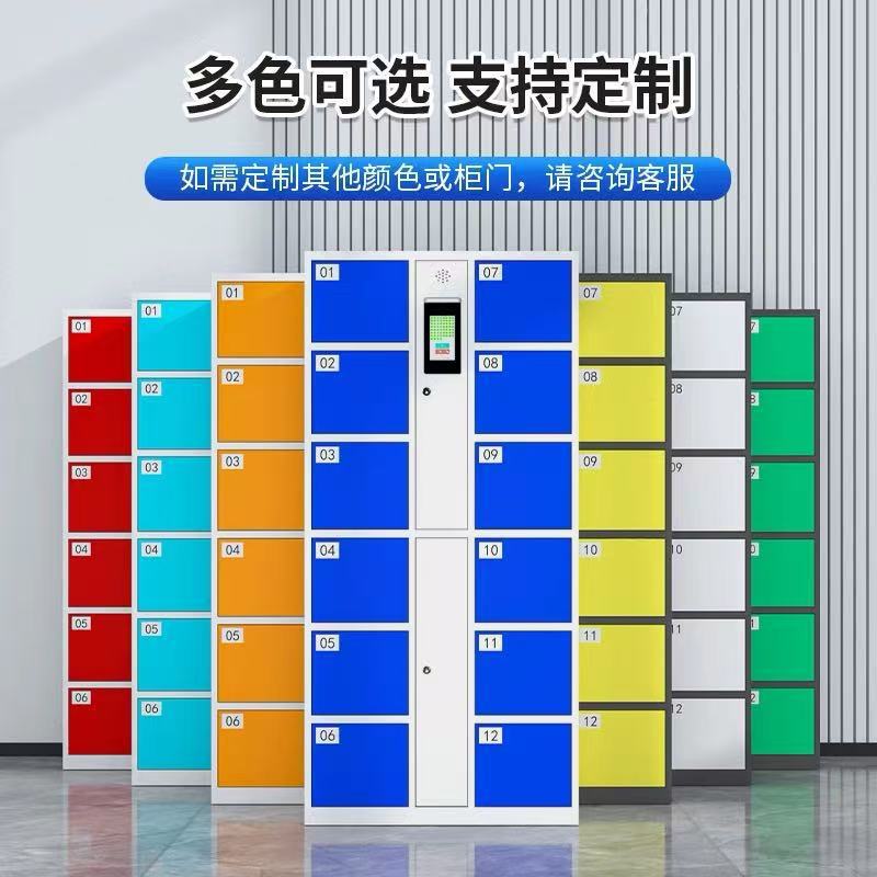 Electronic luggage lockers
