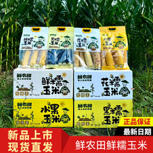 鲜农田鲜糯玉米花黑水果玉米东北玉米棒大苞米儿童营养早餐1.68kg