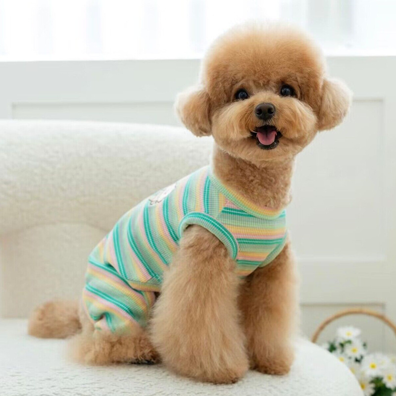 护肚子小狗狗衣服秋冬款泰迪比熊博美猫咪小型犬宠物四脚冬季包肚|undefined