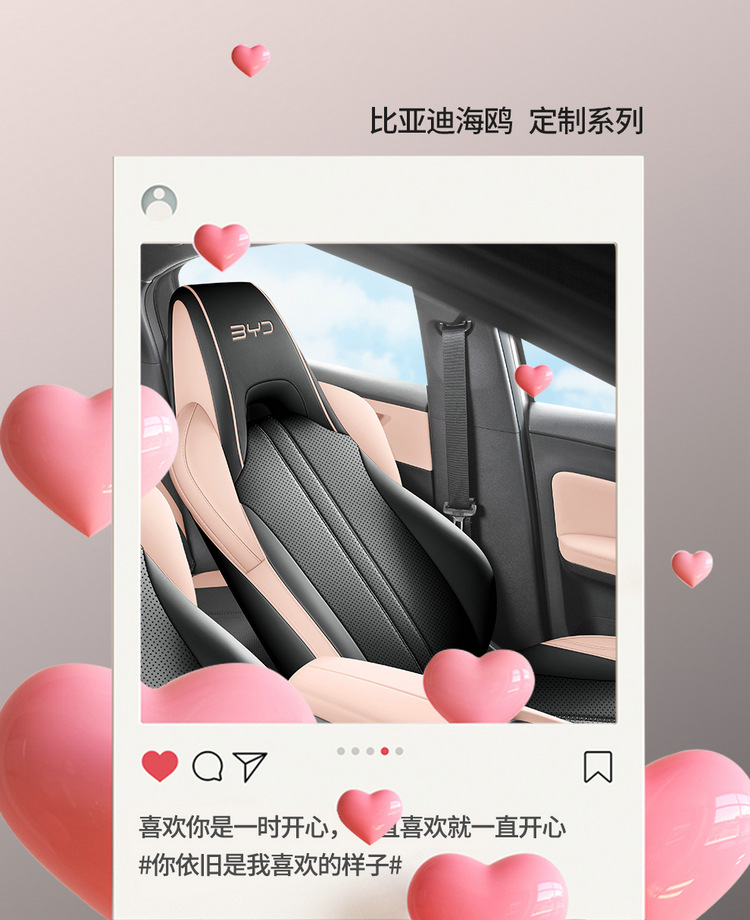 The new special car is suitable for BYD Seagull full leather car seat cushion rear all-inclusive four-season seat cushion cover