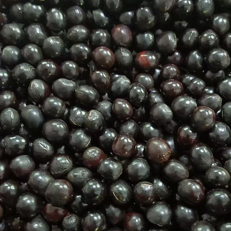 Wildwood Soapberry 9-16mm Loose Beads, Soapberry Prayer Beads, Buddhist Beads, Wind Chime Fruit Shell Doll Accessories