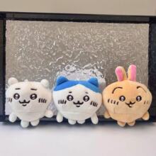 ���ȼ�������ë�q�b��С�˞��_��ɐ�ë�q����С�t��ͬ����ż