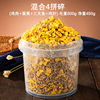 Cat frozen dried snack pet kittens into cat quail egg yolk chicken breasts small fish dried staple food nutrition dog food