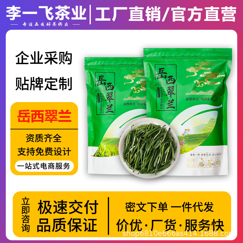 正宗岳西翠兰2025新茶安徽安庆国宾礼茶高山嫩芽翠尖浓香绿茶批发