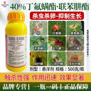 40%�����\���������t֩�댣��ș�߲˸��ٲ��S�\�rș���x���\��