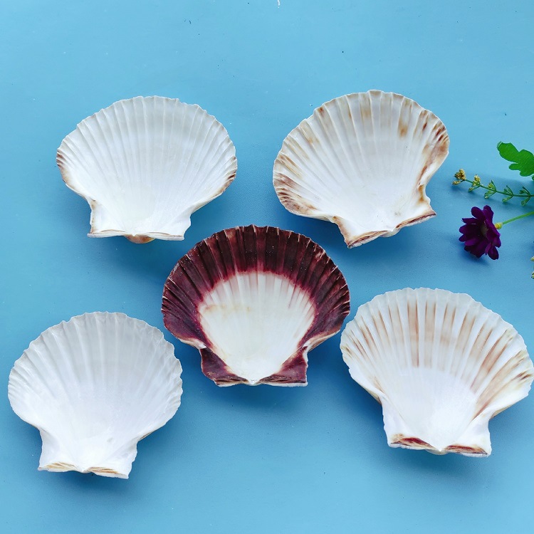 MTXX_20240319_144654985