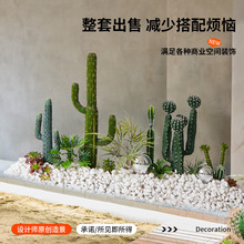 �����������쾰���ΟᎧֲ�����ԙ����������҃ȴ��;��^�b[��