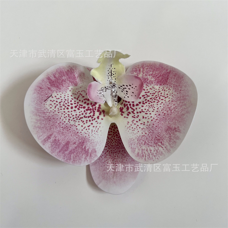 Pink-purple, purple