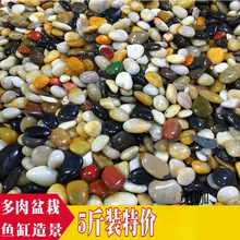 �Z��ʯ������5���껨ʯԭʯ�Zܛů·䁵�ͥԺ�@���쾰��Сʯ���l