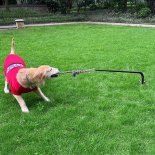 �羳�FˇͥԺ���ﹷ�����ّ����ϴ���߹���,�����\���Α����