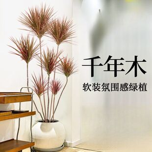 �߲�ǧ��ľ���^���ͺ��B�͏dֲ�������҃���Ѫ������������