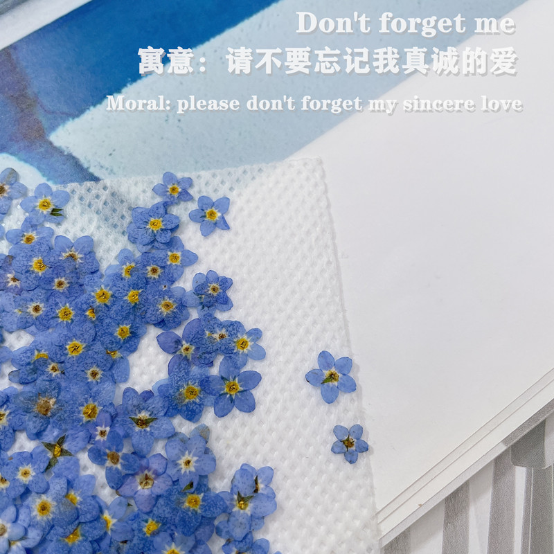 微信图片_20211019151641_副本