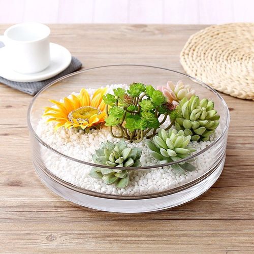 Thickened tulip round glass flowerpot hydroponic lotus water lily copper money vase low glass jar glass bowl