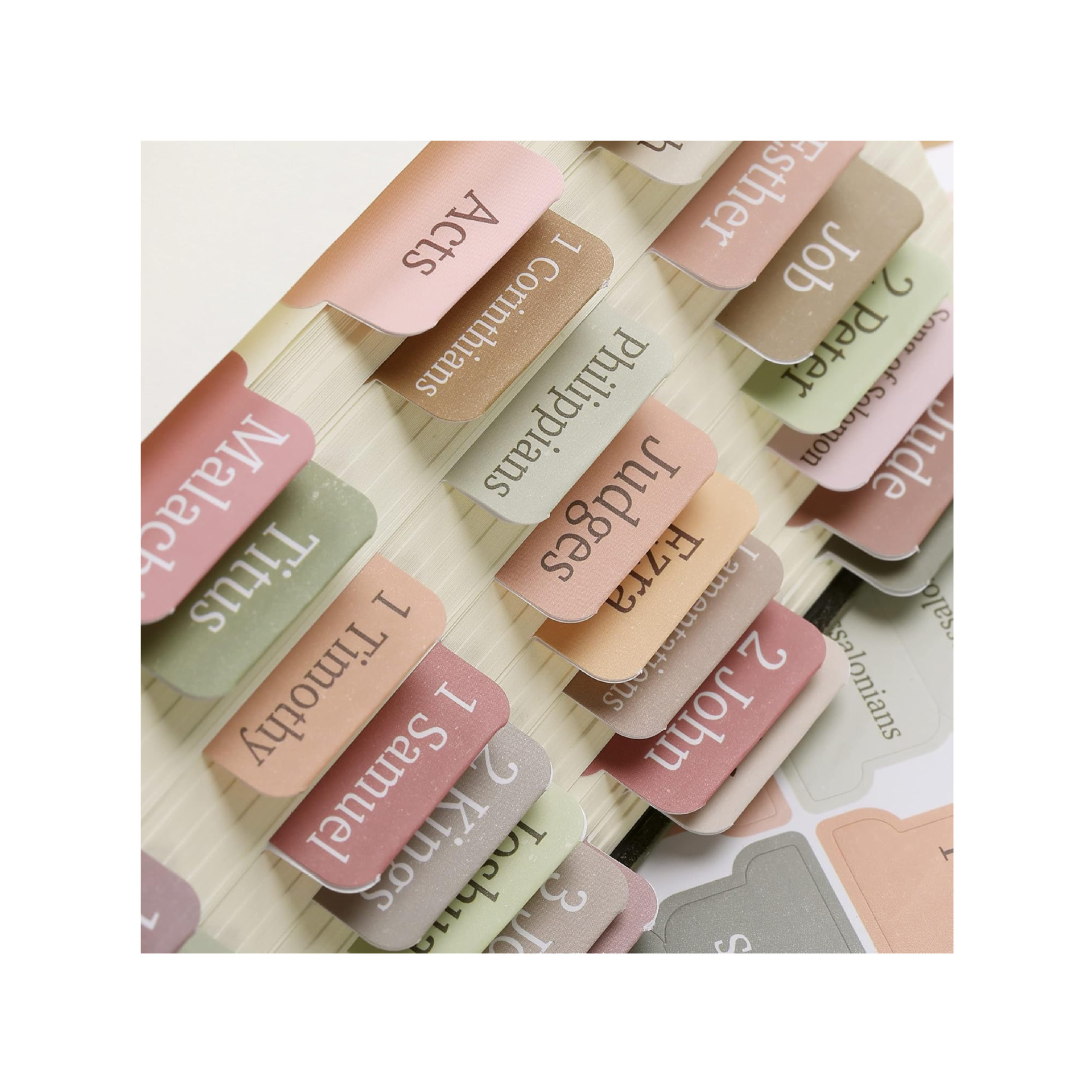 200E8574-B22B-4B5A-8DE7-2B6A4E