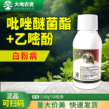 �s���͸ 30%�����Ѿ���&middot;���׷� �S�ϰ׷۲��������rș100g���]