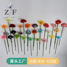 ��֧���ɾռٻ���ɫ���ɻ����޾շ��滨�^pu���ɾջ�c��Y�b�