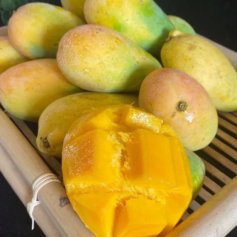 【活动】海南小台芒 代发1/8斤新鲜芒果当季台农甜糯孕妇水果礼盒