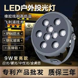 投光灯;洗墙灯;其他照明工业