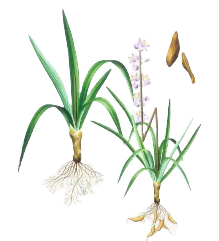 ������Ȼ��������󶬸���ȡ��AD-RESYL