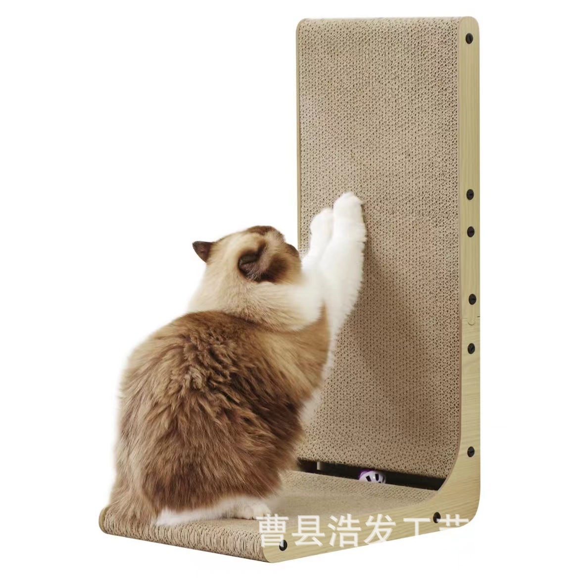 微信图片_20240613163736.jpg