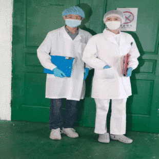 Shanghai Zixi Factory Food Gown Food Workshop Work Clothes Laboratory Long Sleeve Dust-proof Work Gown
