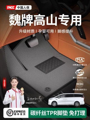 Car Carpet — 21-26 models of Great Wall Alpine