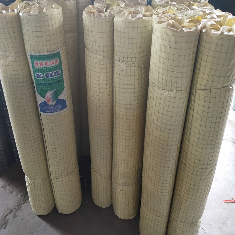 厂家供应镀锌铁丝网现货内外墙面电焊网镀锌铁丝电焊网钢丝网