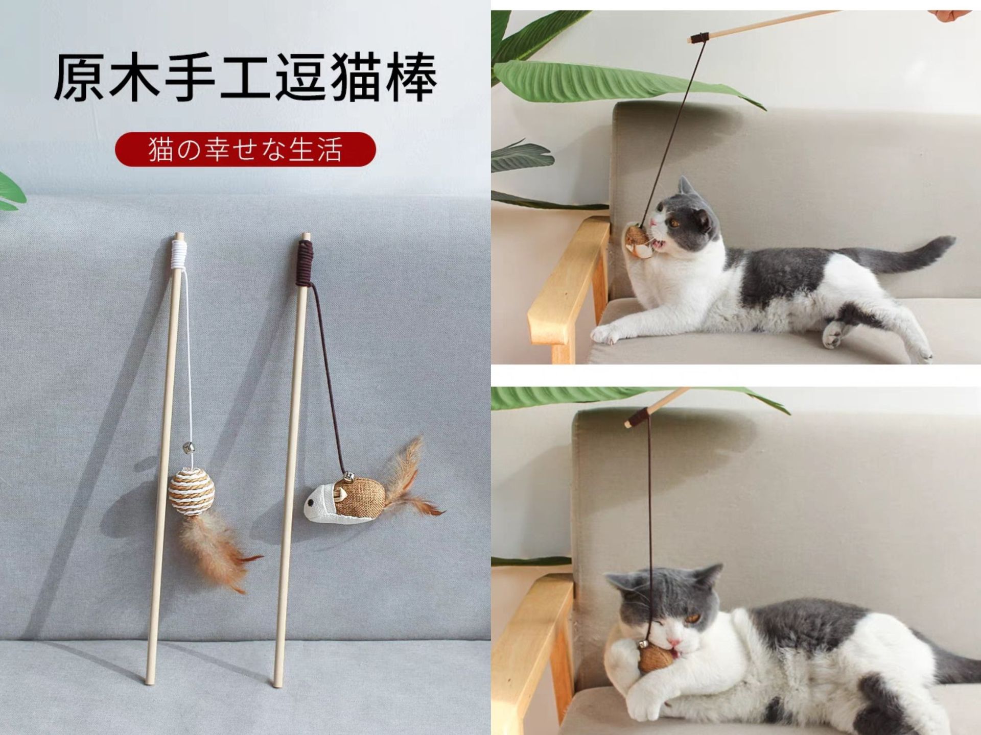 微信图片_20230504180059