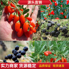 Ұ轷N t轷N Bز˷N ļͥԺ߲˷N