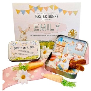 Easter bunny in a box �ͻ�ڴ������F��ë�q���ӶY�Ѓ�ͯ�Y��
