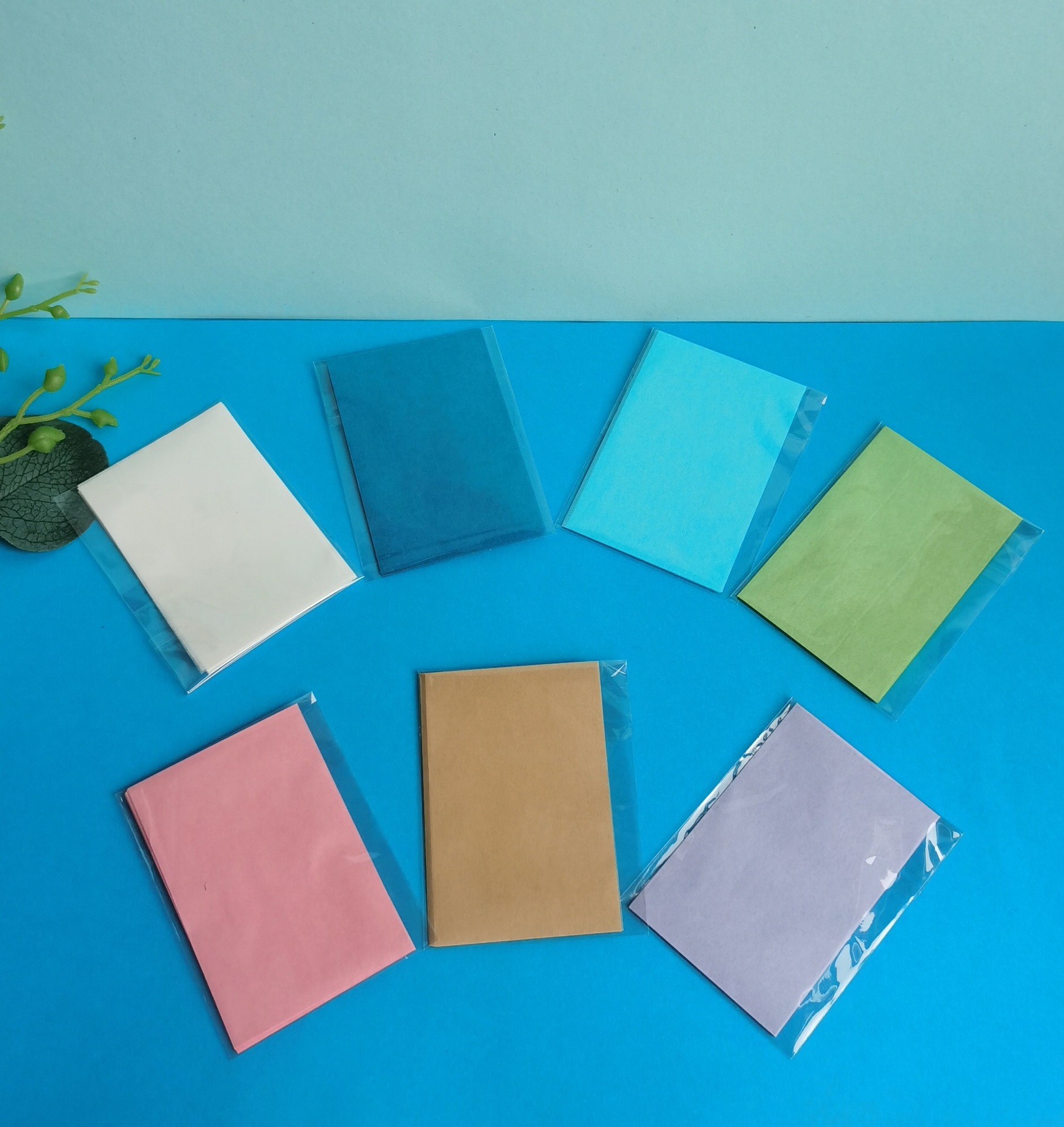 IMG_20220220_164341_edit_15725