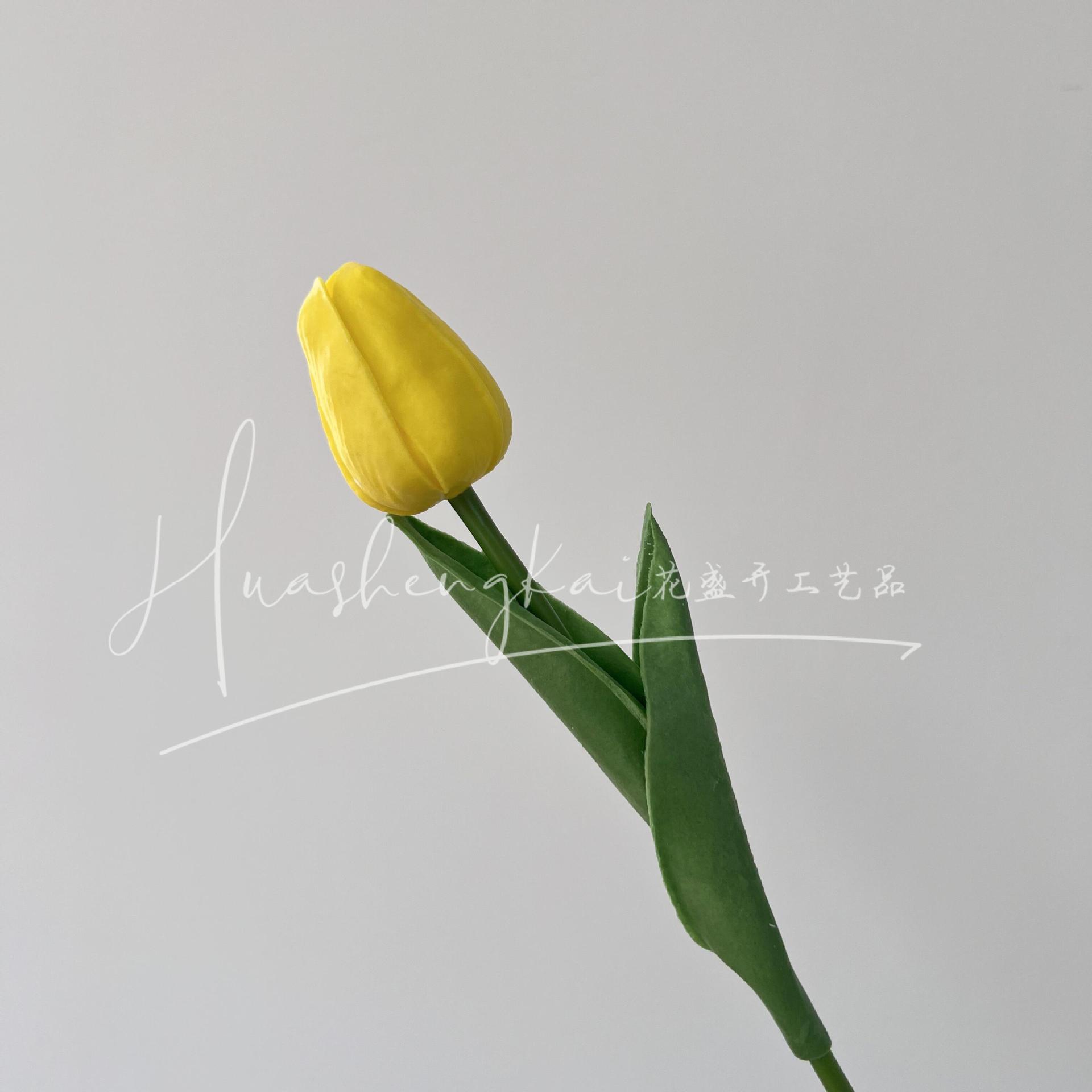 단일 튤립
