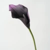Purple, big