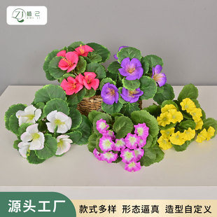 5�溣�Ļ����滨��c�Y���b����Ҿӿ͏dֲ��[���쾰���Ļ�