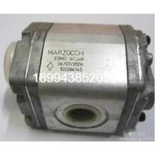 ԭbKL1PD2.5GHRMARZOCCHIX݆KL1PD2.5GH