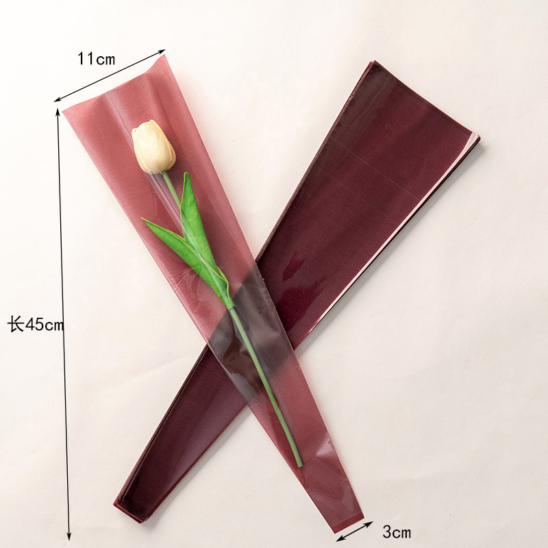 솔리드 컬러 커피 사진 약 50장