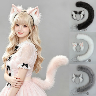 ������ϵ؈����F���l����չ؈��cos؈���l���������F��