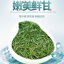 毛尖信阳特级绿茶茶叶2022新茶浓香型河南茶叶春茶嫩芽散装批发厂