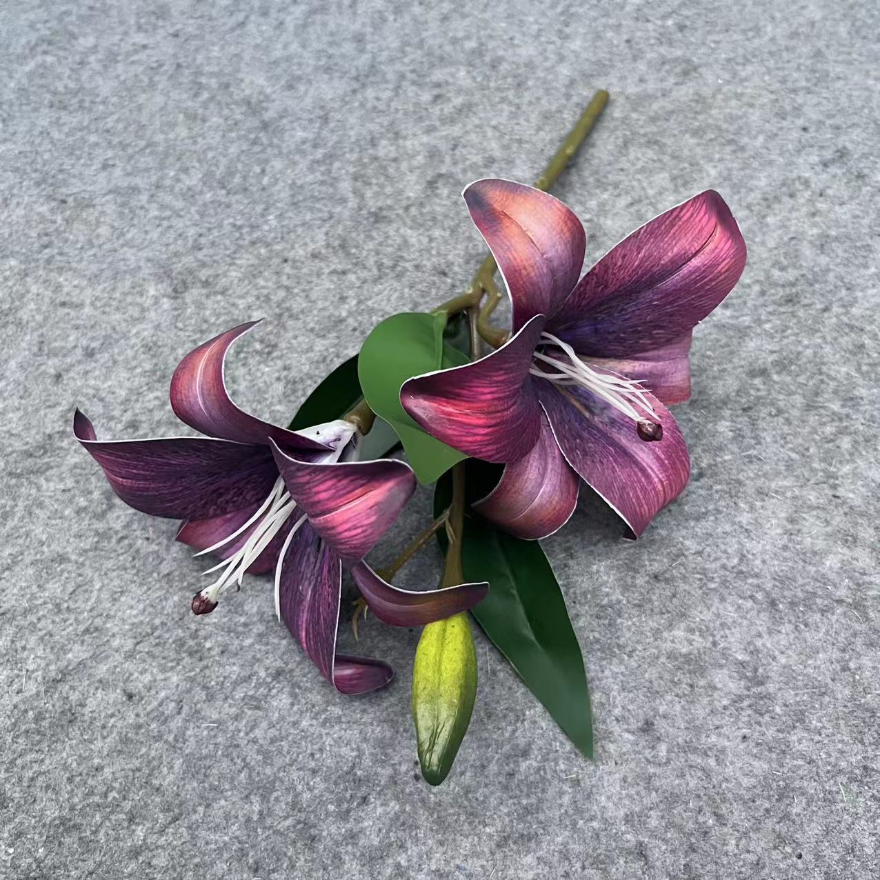3D 릴리 별이 빛나는 보라색