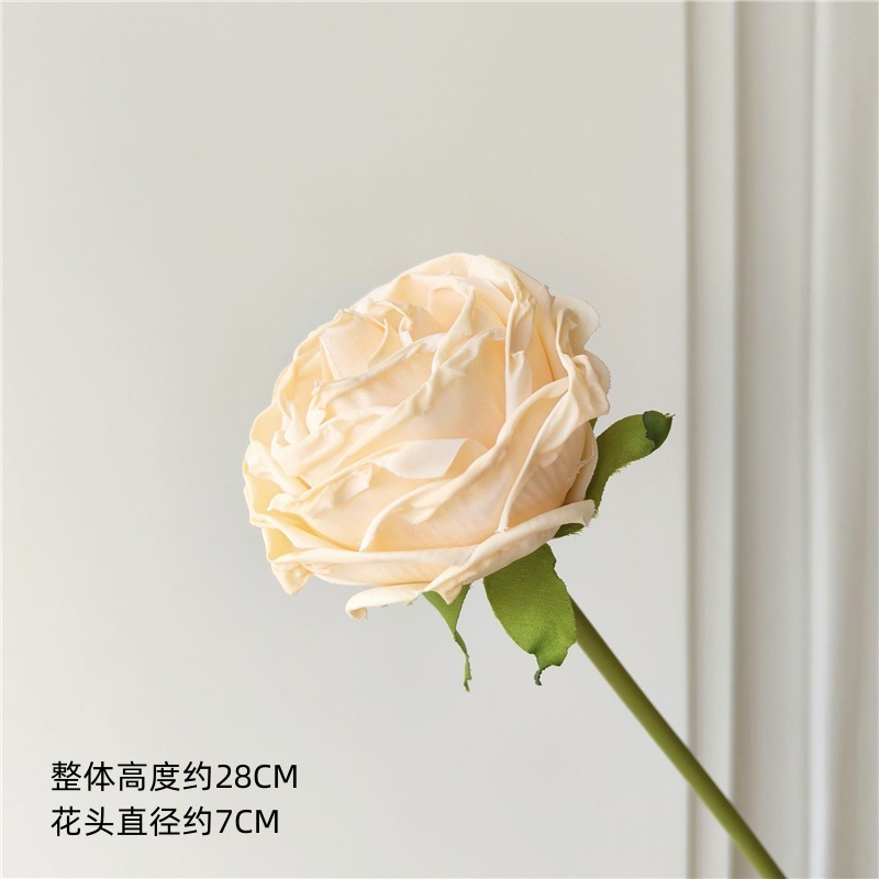 샴페인 드라이 브레이징 리틀 로즈