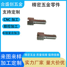 厂家批发304不锈钢螺丝螺钉 电表铅封螺丝 封表螺钉带孔一字螺丝