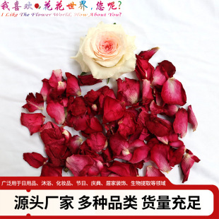 Yunnan Dried Rose Petals Manufacturer Yunnan Rose Petals Bath Dried Petals Manufacturer Pedicure Dried Petals