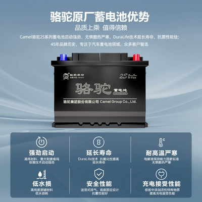 Suitable for Camel Battery Car battery/battery