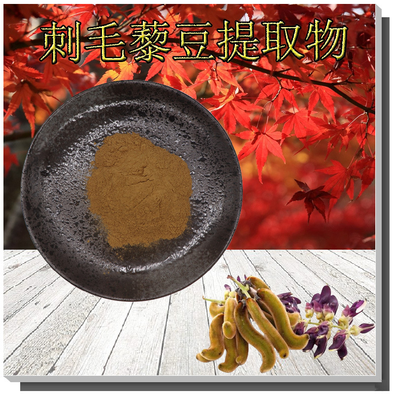 刺毛藜豆提取物10:1规格刺毛藜豆萃取粉无中间商刺毛藜豆提取物