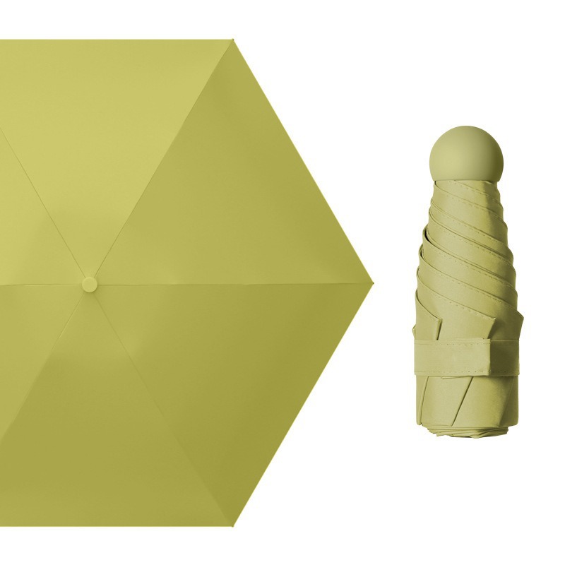 5 배 6 골 일반 비닐 말차 녹색