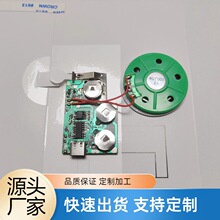 厂家定制usb下载音乐type-c充电语音发声机芯录音模块配件播放器