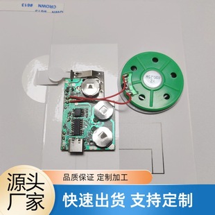 Manufacturer Customized USB Download Music Type-C Charging Voice Sound Movement Recording Module Accessories Player