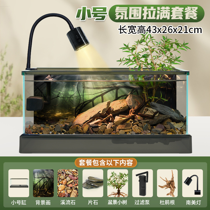 남미 소형 탱크 [조경 패키지 완비] + 선물 패키지