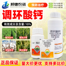 10%�{�h���} ���������{�����Lֲ�����L�{�������Ƴ�ù��V���rș
