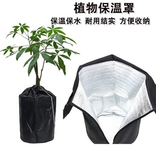 �羳��؛�ﶬֲ�����Ի�����ֻ�˪��